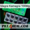 Viagra Kamagra 100Mg new04